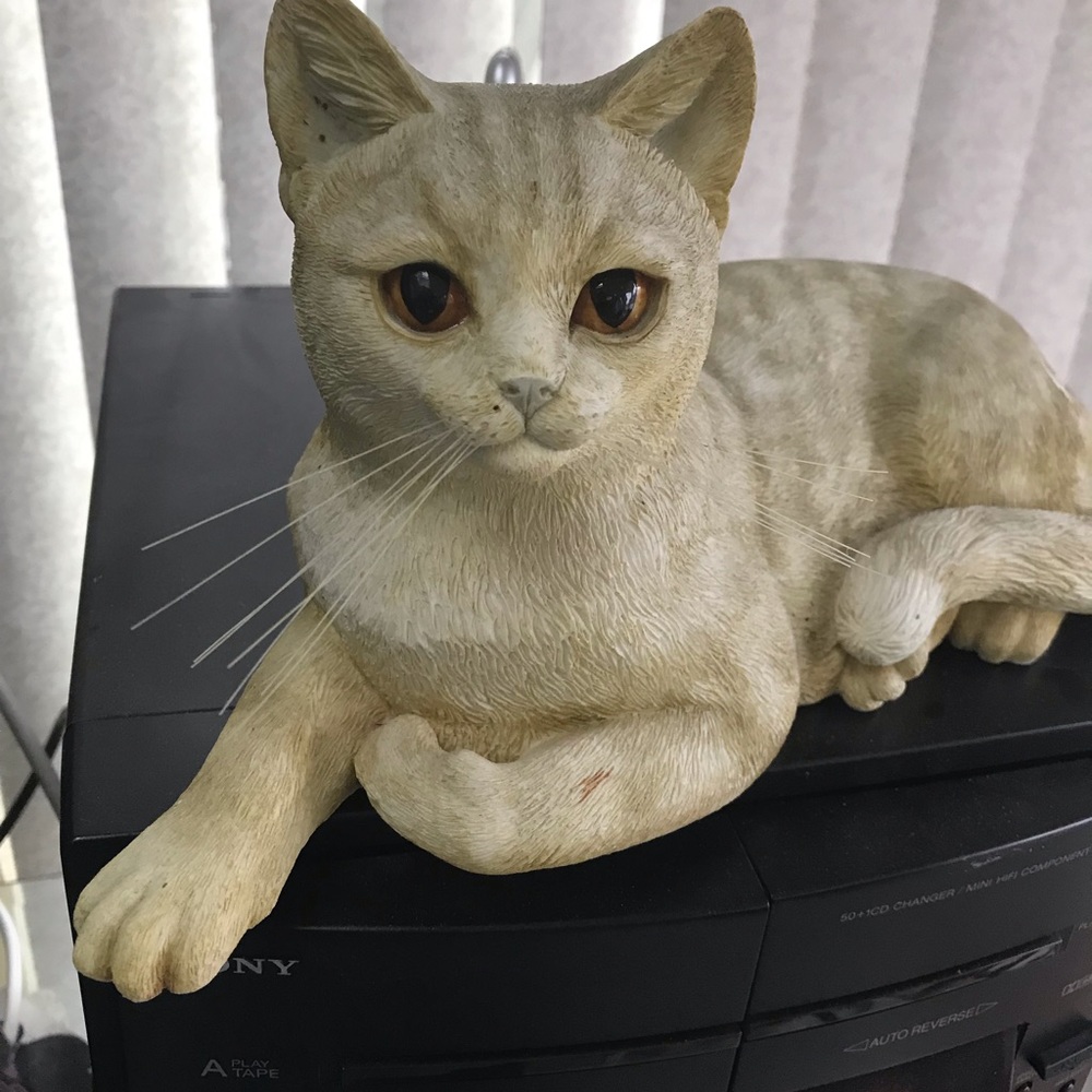 “Cats and Kittens  14 inch cat. Lovely eyes and whiskers. Very detailed.